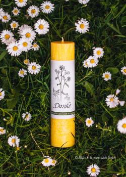 "Danke" Allgäuer Heilkräuterkerze