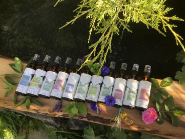 Preview: Orangenblüte ~ Bio-Pflanzenwasser, verwöhnend