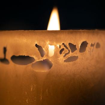 Preview: Olivenwachskerze ø60/H100