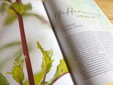 Preview: Das grosse Buch der Pflanzenwässer