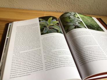 Preview: Im Schoss der Erdmutter