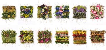 Set "Webereien" 12 Postkarten