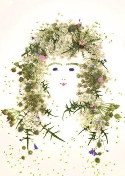 Postkarte Alpenblumen 131 (Distel)