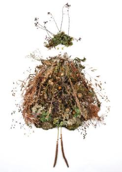 Postkarte Alpenblumen 142