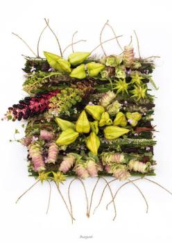 August aus der Serie "Webereien"