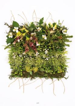 Juli aus der Serie "Webereien"