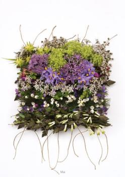 Mai aus der Serie "Webereien"