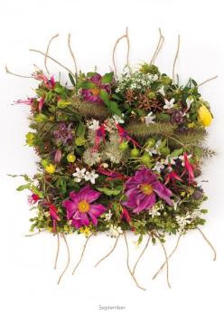 September aus der Serie "Webereien"