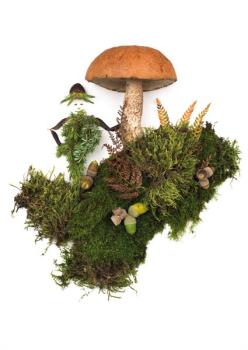 Postkarte Winter 115 (Pilz: Rotkappe)