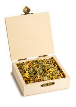 Preview: Eichhörnchen ~ Lebendigkeit