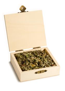 Preview: Fuchs ~ Innere Führung