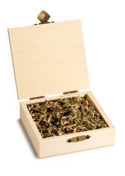 Hirsch ~ Kraft & Erdung