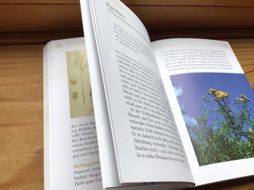 Preview: Räuchern mit heimischen Kräutern