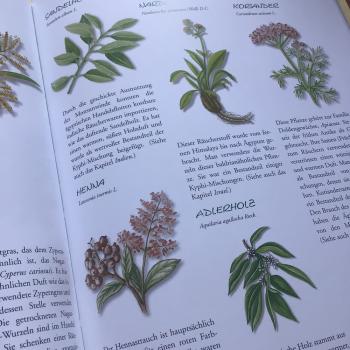 Preview: Das Buch vom RÄUCHERN