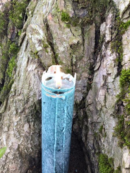 "Verbundenheit" Allgäuer Heilkräuterkerze