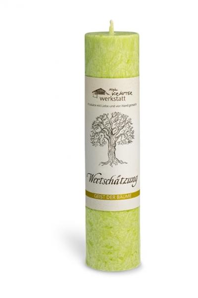 "Wertschätzung" Allgäuer Heilkräuterkerze