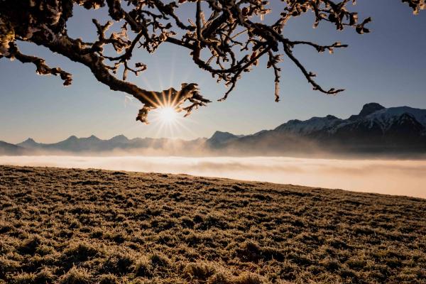 Frostzauber in Blumenstein
