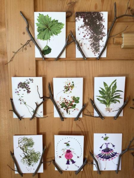 Postkarte Gartenblumen 116 (Medizinal-Rhabarber)