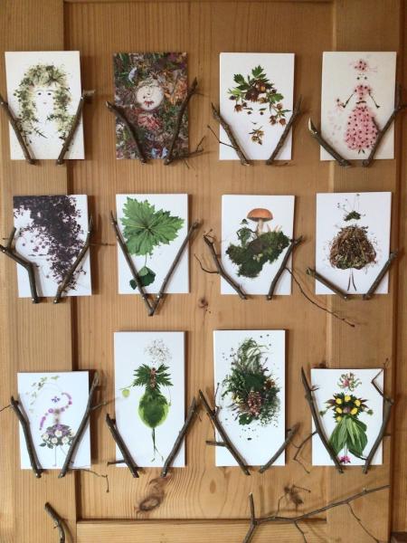 Postkarte Alpenblumen 30