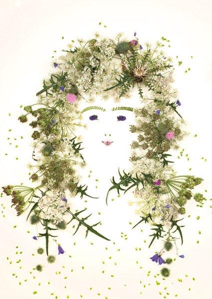 Postkarte Alpenblumen 131 (Distel)