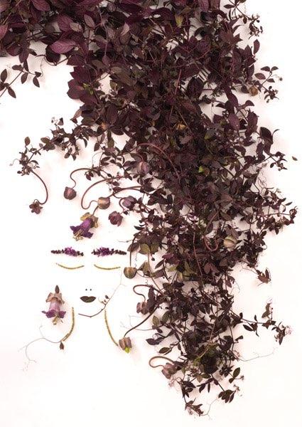 Postkarte Gartenblumen 144 (Glockenrebe)