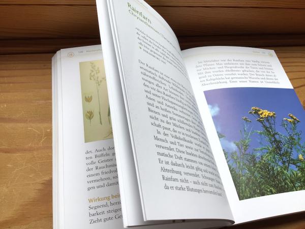 Räuchern mit heimischen Kräutern