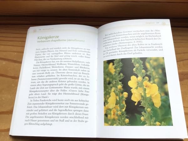 Räuchern mit heimischen Kräutern