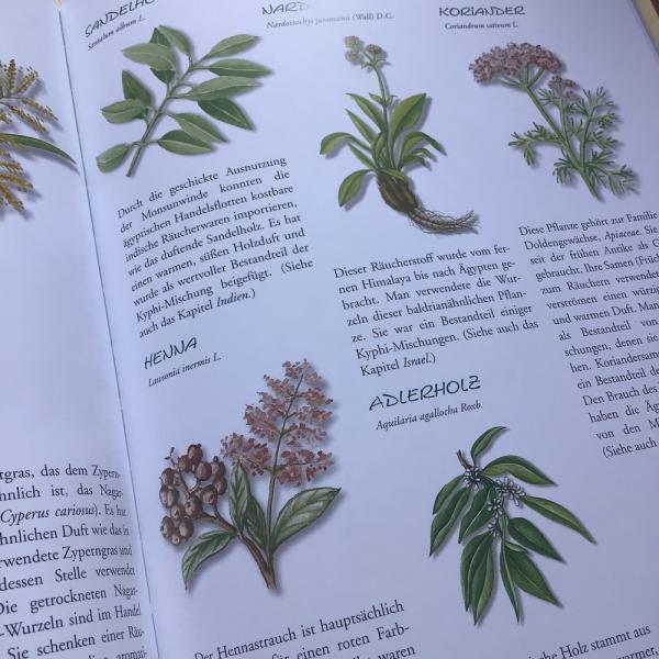 Das Buch vom RÄUCHERN