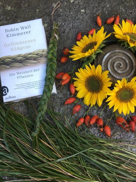 Geflochtenes Süssgras